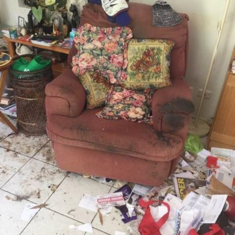 3 Bio Cleanse Living Room Before