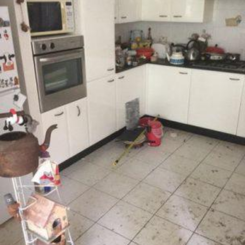 5 Bio Cleanse Kitchen Before