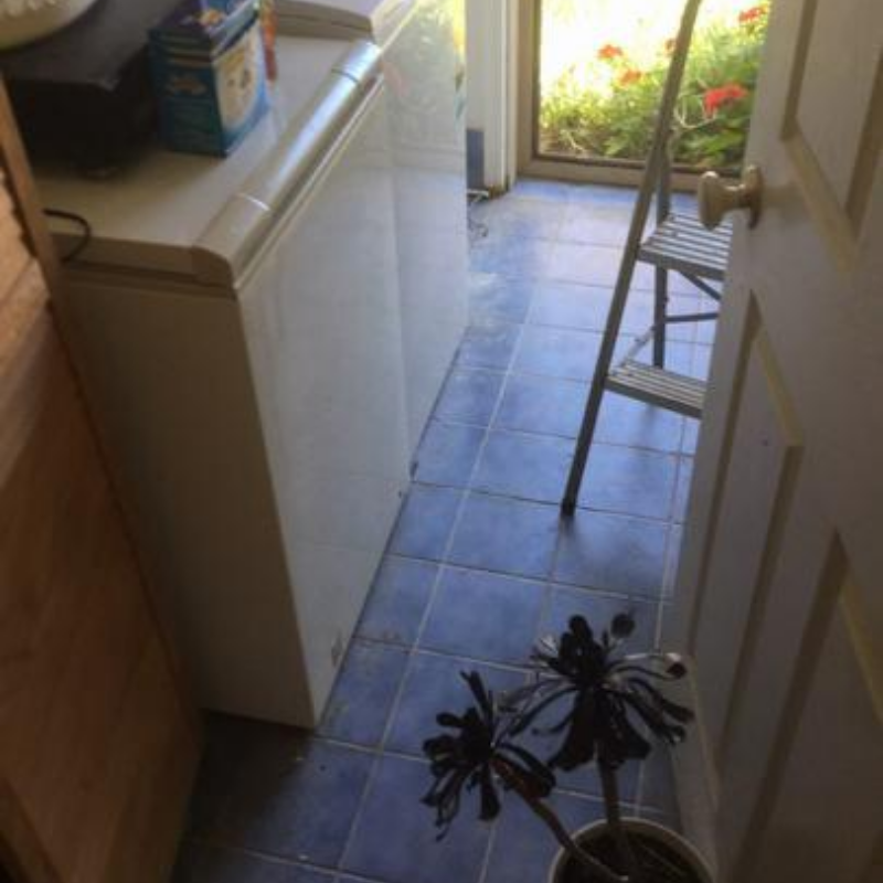 7 Bio Cleanse Laundry Before